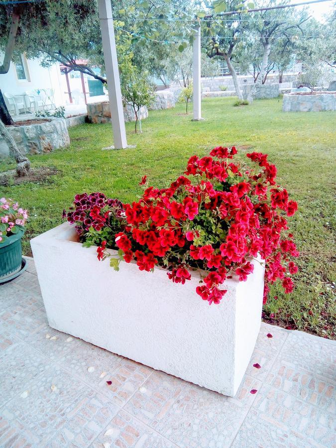 Apartments Maxi Katić Herceg Novi Zewnętrze zdjęcie